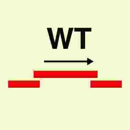 IMPA:336773 消防控制 Fire Control Ship Safety Sign
